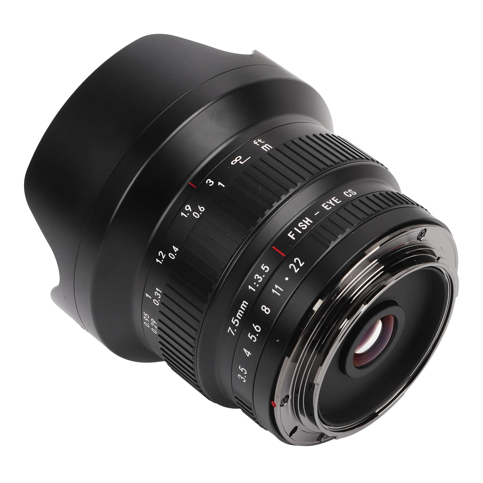 Denash Lentes de Peces de Cámara DSLR Ultra Gran ángulo para Lente de Línea de Ancho y 205 Grados de 205 Grados con una Gran Abertura para Fotografía de Paisaje, Cuerpo de Metal, 1.12 LBB