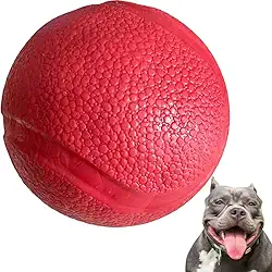 Brinquedo Para Cães Bola Lisa Grande Maciça Extra Forte 95mm Cachorro destruidor Grande Hard (Vermelho)