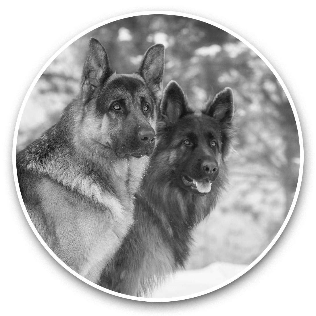 Destination Vinyl Ltd Bw German Shepherd Dog Alsatian Winter 42374 2 X 30Cm Vinyl Stickers - German Shepherd Dog Alsatian Winter 42374