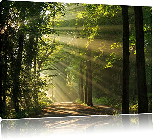 Pixxprint Waldweg im Frühling als Leinwandbild | Größe: 100x70 cm | Wandbild| Kunstdruck | fertig bespannt