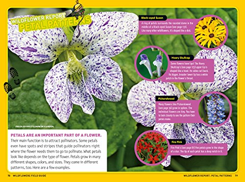 Ultimate Explorer Field Guide: Wildflowers - Image 4