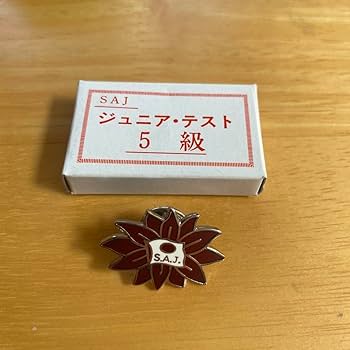 【SAJ全日本スキー連盟バッヂ】廃番級別技術章1～5級セット売り　送料無料　美品 Amazon | SAJ 全日本スキー連盟 技能章 4級 5級 バッジ バッチ