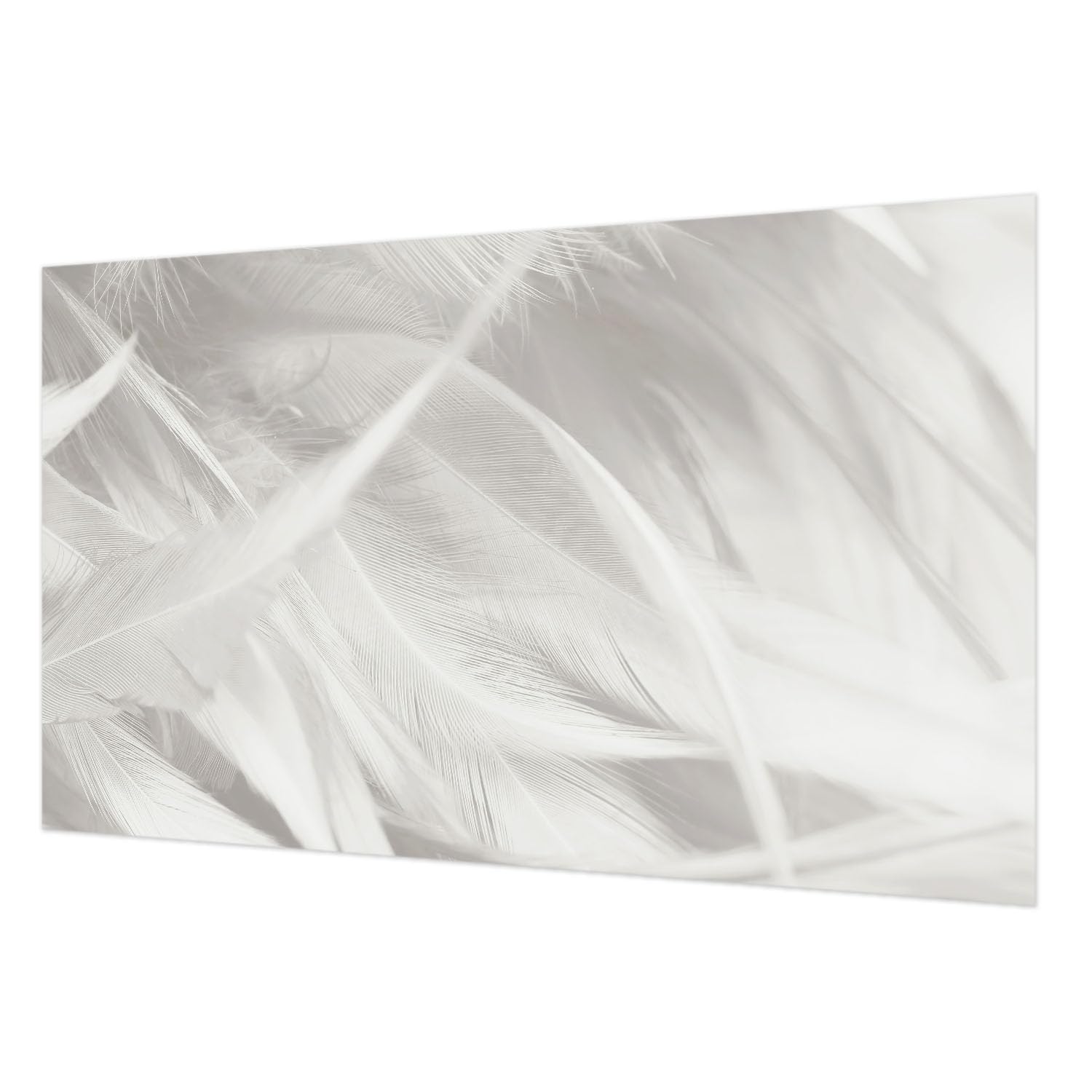 Tapisserie intissée plumes subtiles 416x254 cm décor salon avec colle Tulup