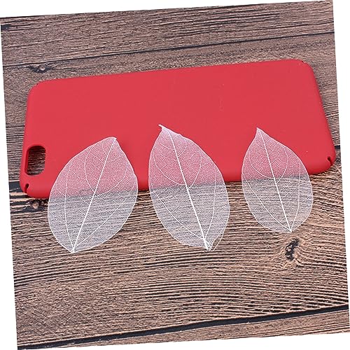 6pcs hojas secas naturales blancas para manualidades miniatura 7