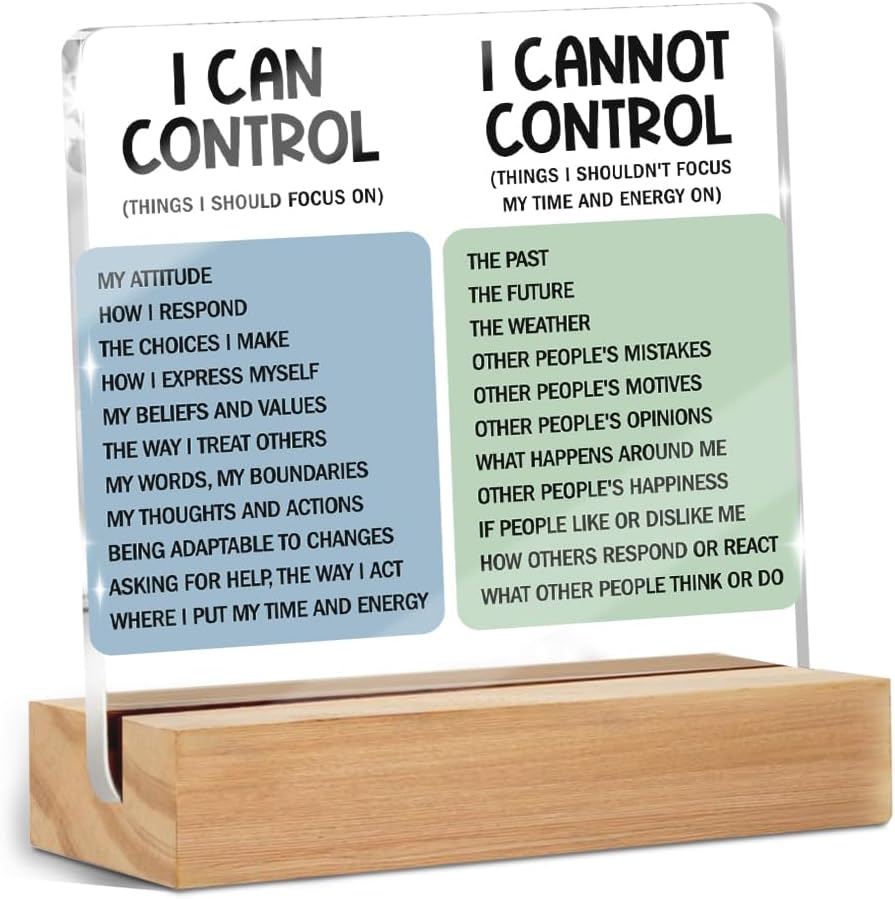 Mental Health Desk Decor Things I Can Control Acrylic Sign, Inspirational Gifts for Women Coworkers, Therapist Office Art Decor for Desk Gadgets Table Top Cubicle Living Room Bedroom Decorations 1