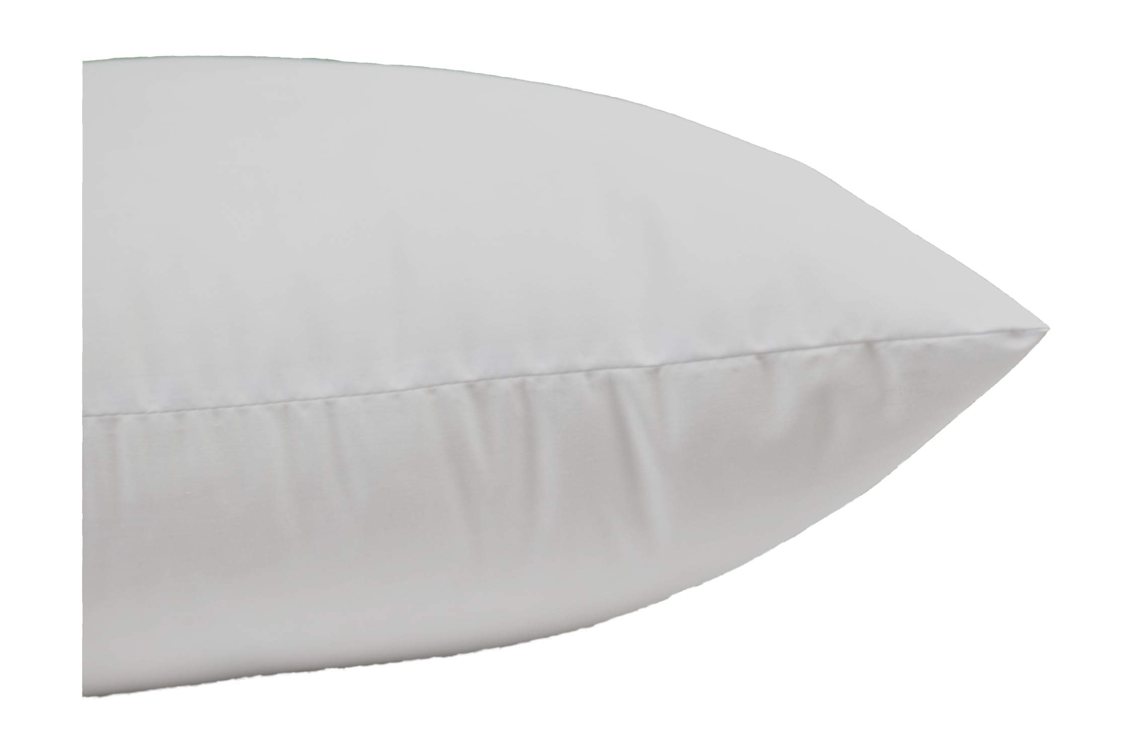 21 inch pillow insert