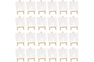 Tosnail 24 Pack Mini Canvas and Easel Set for Artists