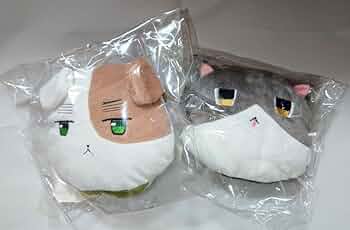 61ZWBmJlSuL._AC_UF350,