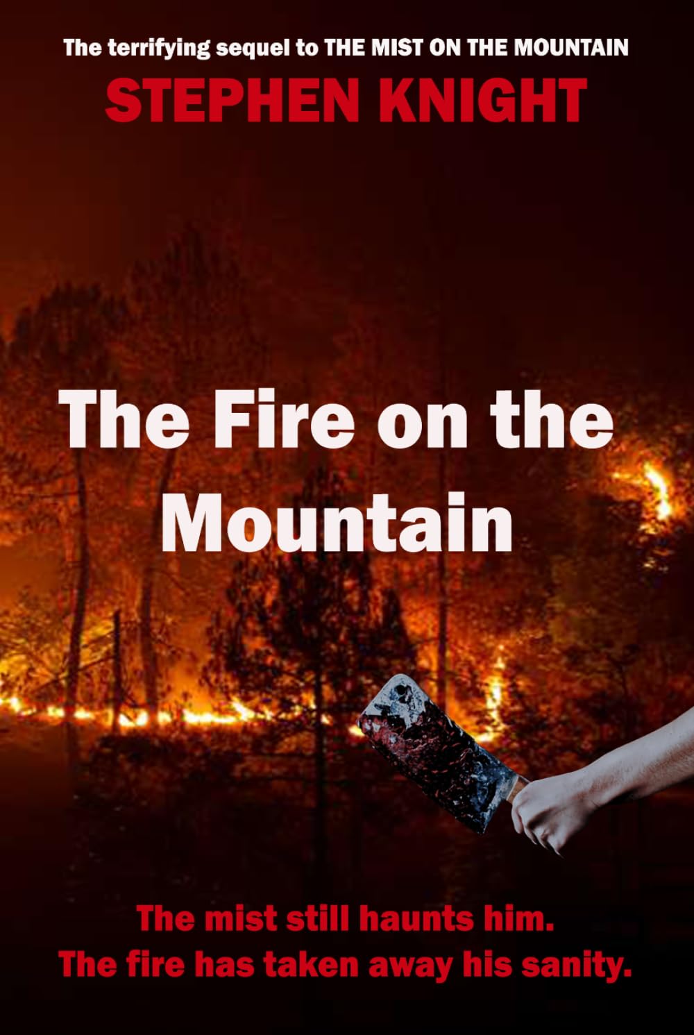 The Fire On The Mountain (The Garw Valley Murders)
