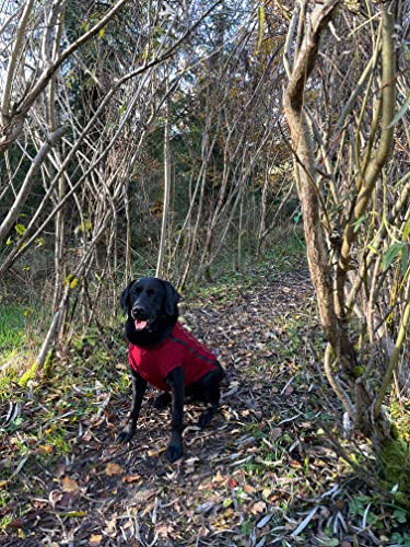 iEnergy™ OSC isolierende und warme Outdoor-Hundejacke mit Fleece-Innenfutter, windabweisender, ultraleichter und reflektierender Hundemantel, Ganzjahres-Hundeviespullover (Rot, Extra, Extra Groß)