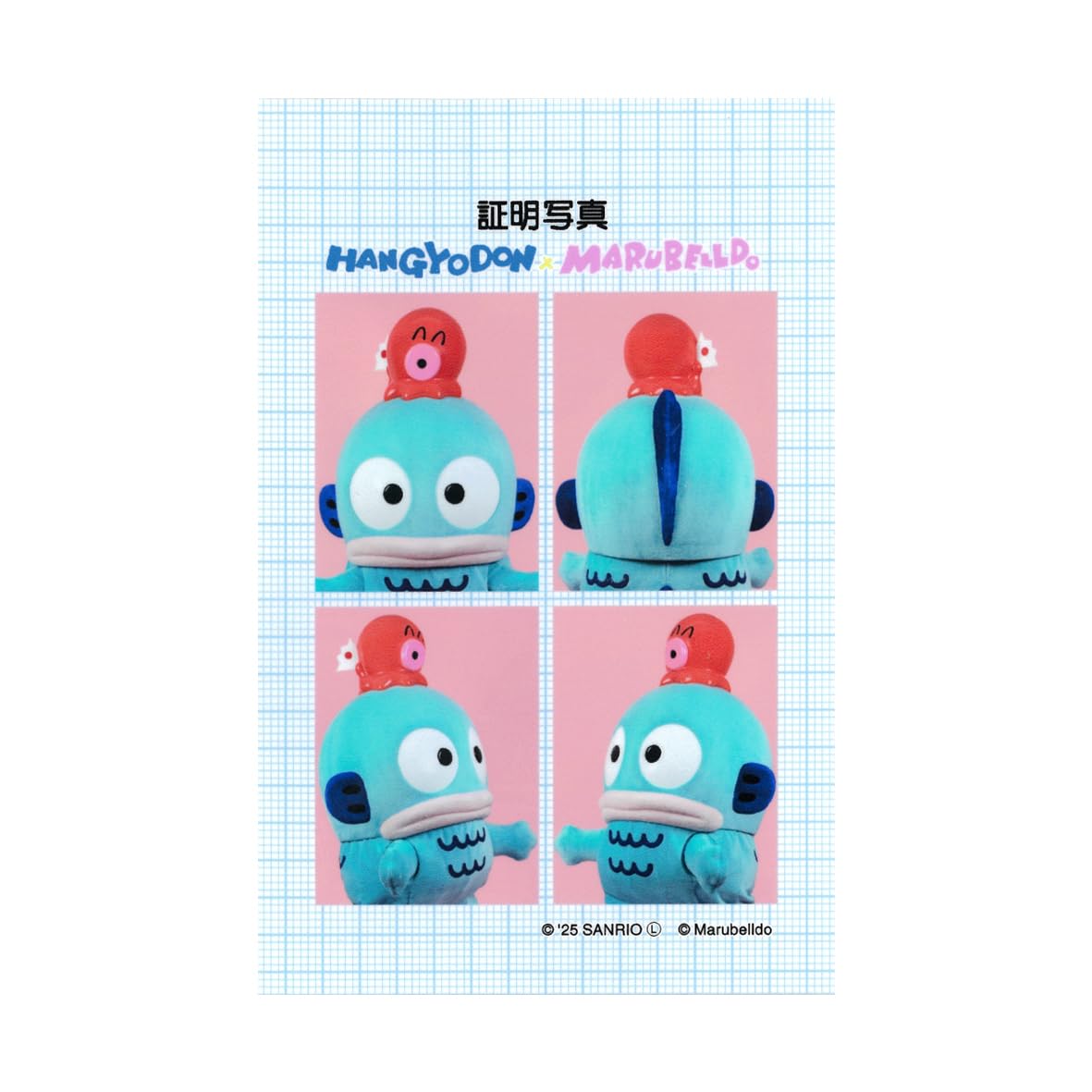 Amazon.co.jp: ハンギョドン×マルベル堂 証明写真風ステッカー 001