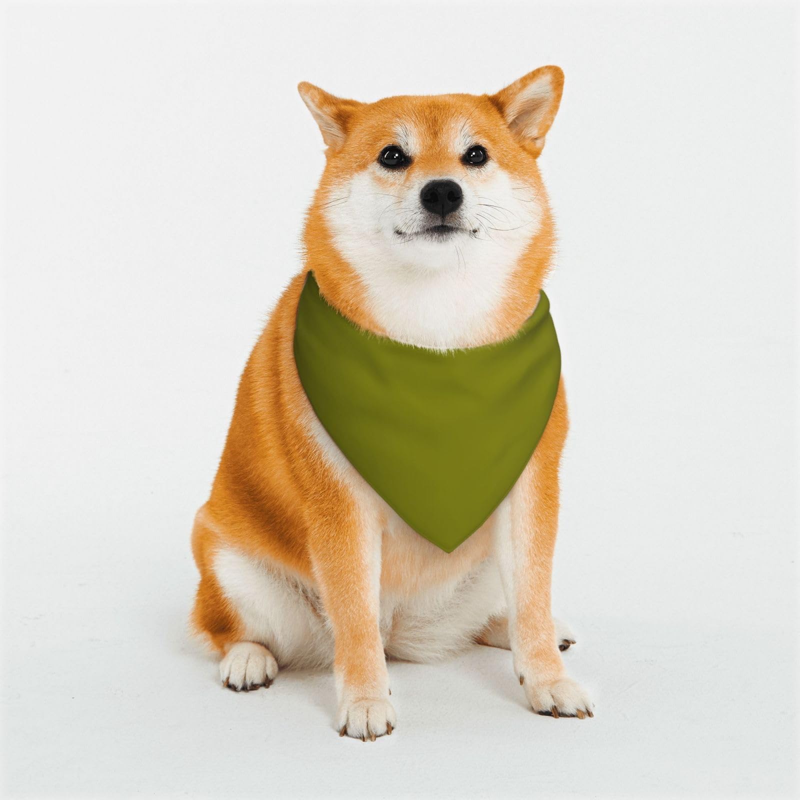 Olive Dog Bandanas,Triangle Reversible Pet Scarf for Boy and Girl,Bandana for Small Medium Large and Extra Large Dogs Small