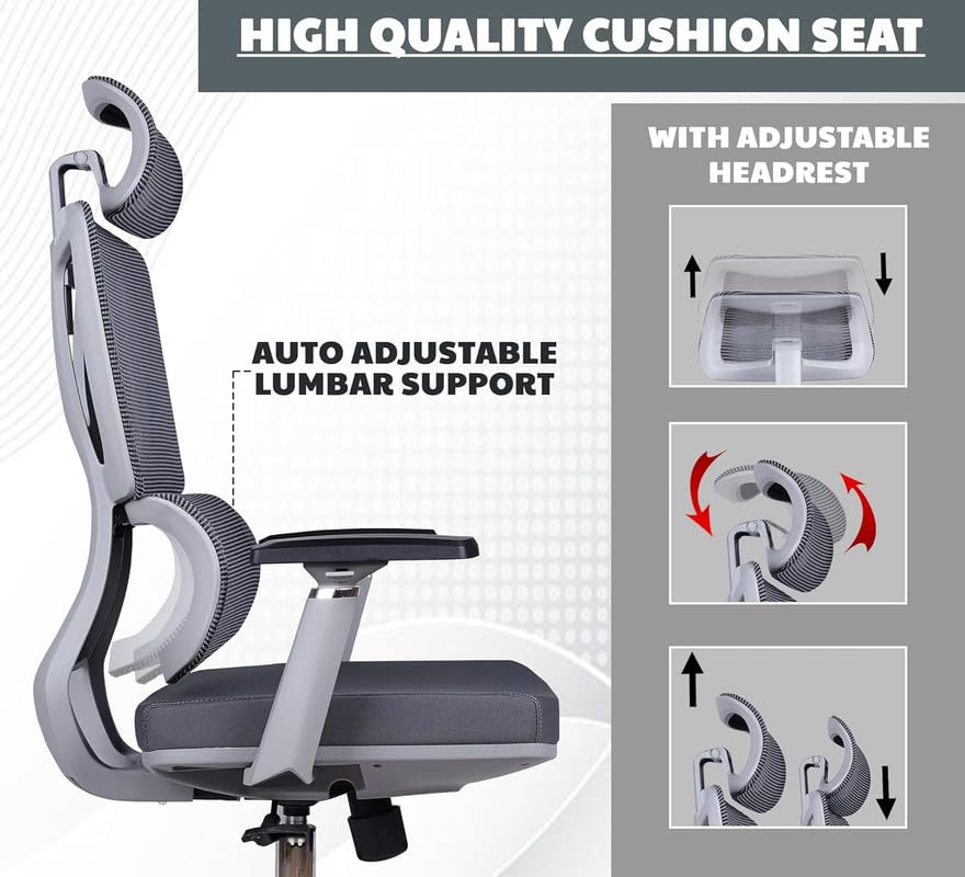 Image of Mesh High Back Ergonomic Chair | Executive Office Chair for Work from Home and for Study | Multi Lock System, Design for Long-Hour Tasks