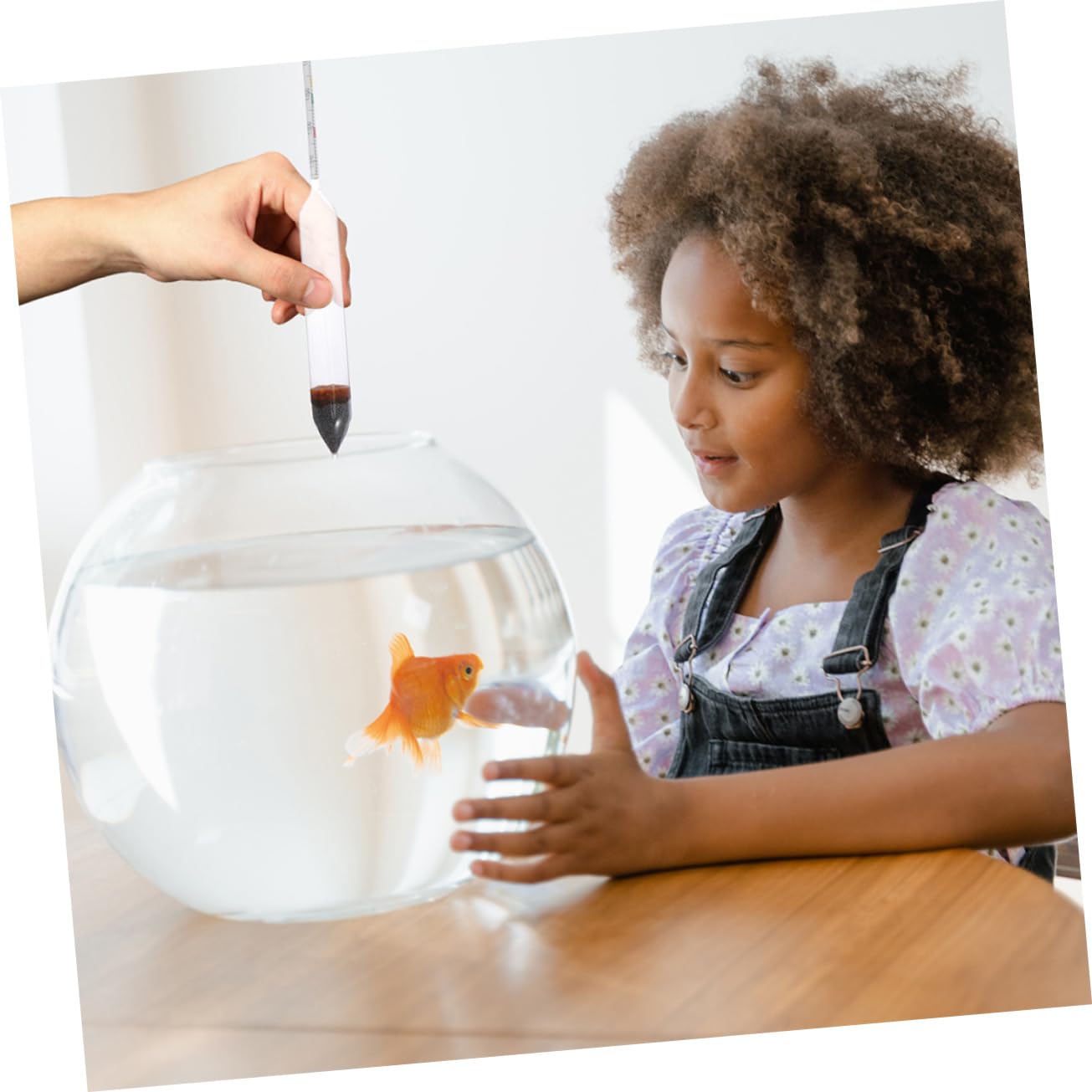 Levemolo Saltwater Tank Meters Professional Hydrometer for Water Salimeter Floating Design Automatic Test