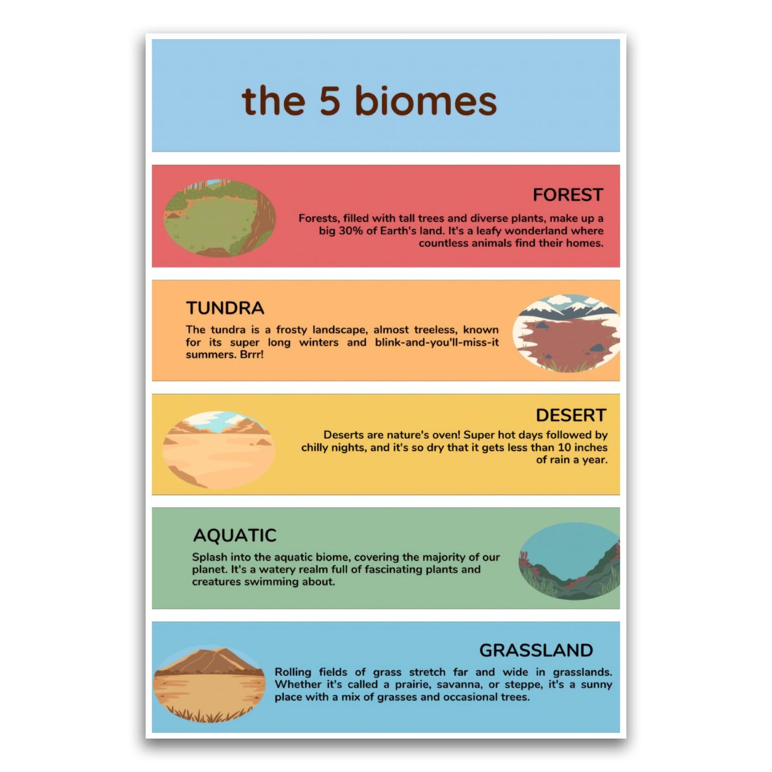 The 5 Biomes Poster - Classroom Therapy Educational School Kid Poster - 12 x 18 Inch Unframed Poster - Premium Poster On 100lb Gloss Paper - Printed In The USA FHJP1606