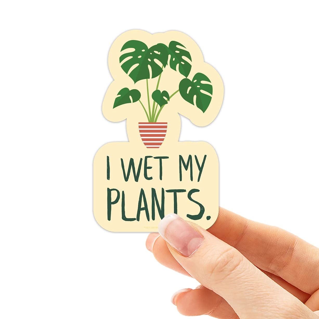 I Wet My Plants Sticker, Cute Plant Stickers for Hydroflask, Funny Plant Mom Decals for Laptop, Monstera Houseplant Decal, Cool Gift Under $5