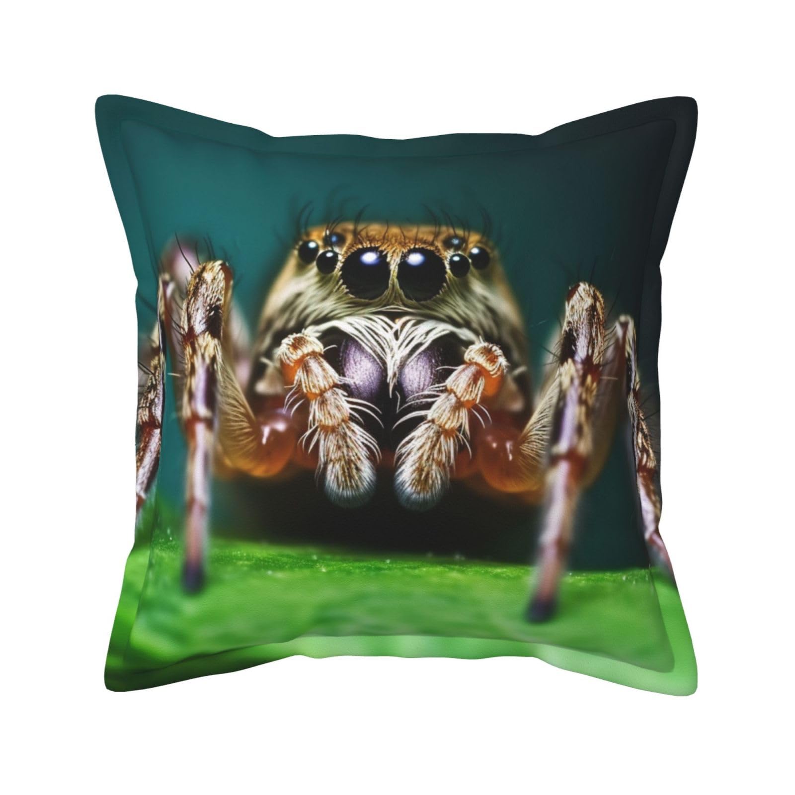 Housses de coussin décoratives style rustique araignée pour voiture