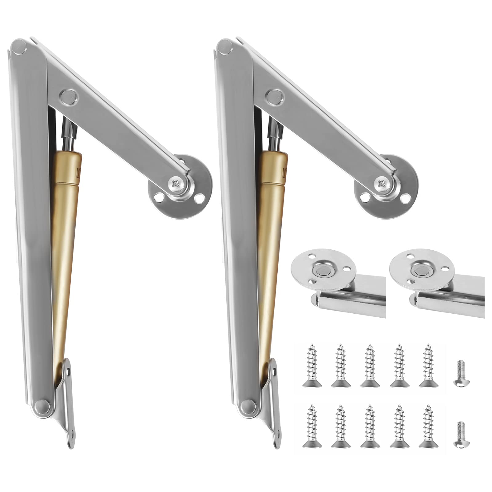 Buy 2 Pack Hydraulic Strut Lift, Door Lift 100N/10KG Door