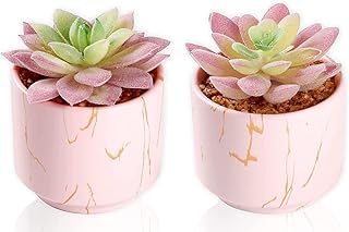 zenmag Fake Succulents, Mini Succulents Plants Artificial in Pink Cerami...