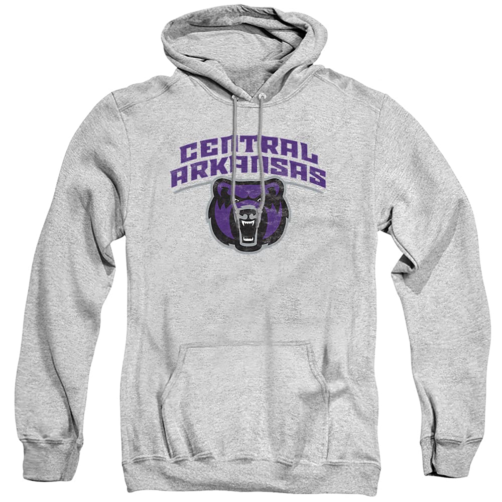 LOGOVISION Official Collegiate Distressed Primary Logo Adult Pullover Hoodie Collection — view 171