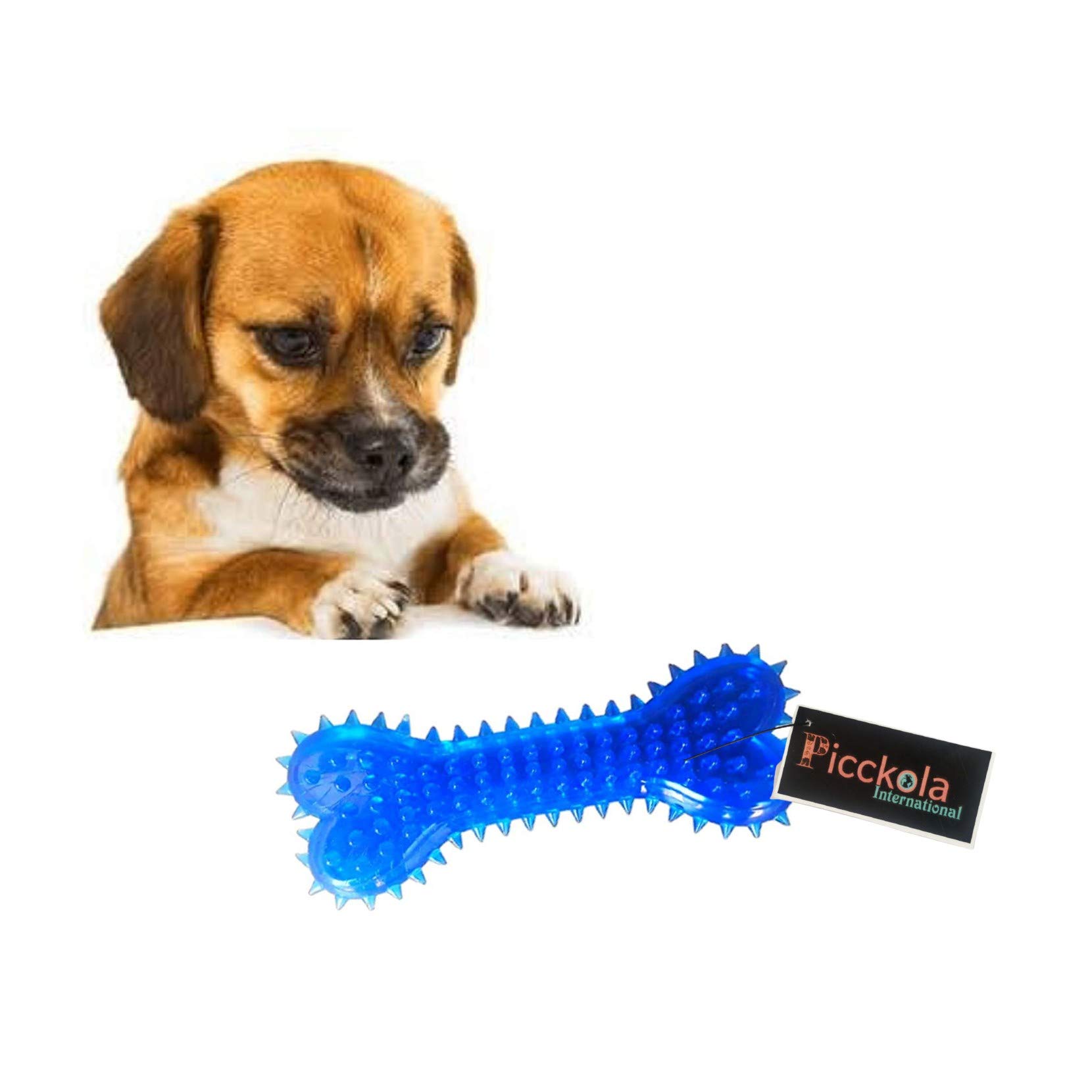 Picckola International 100% Non Toxic Rubber Flavoured Puppy Bone Toy Hard Spike Bone Chew Toy Teething Toy (Hard Spike Bone, Color May Vary) (B08L972WGL) Amazon Price History, Amazon Price Tracker