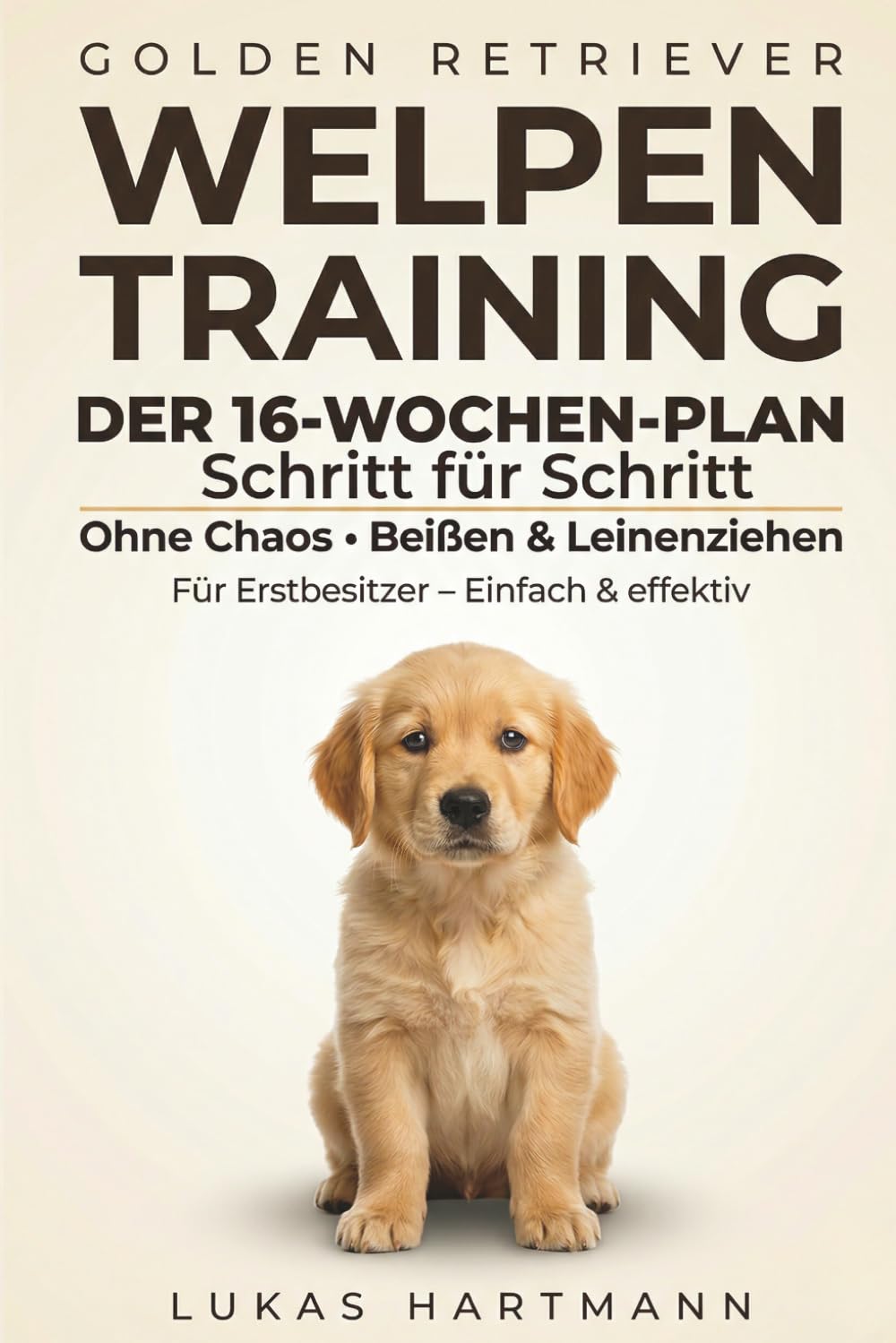 Golden Retriever Welpen Training: Der 16-Wochen-Schritt-für-Schritt-Plan für Erstbesitzer – Ohne Chaos, Beißen & Leinenziehen