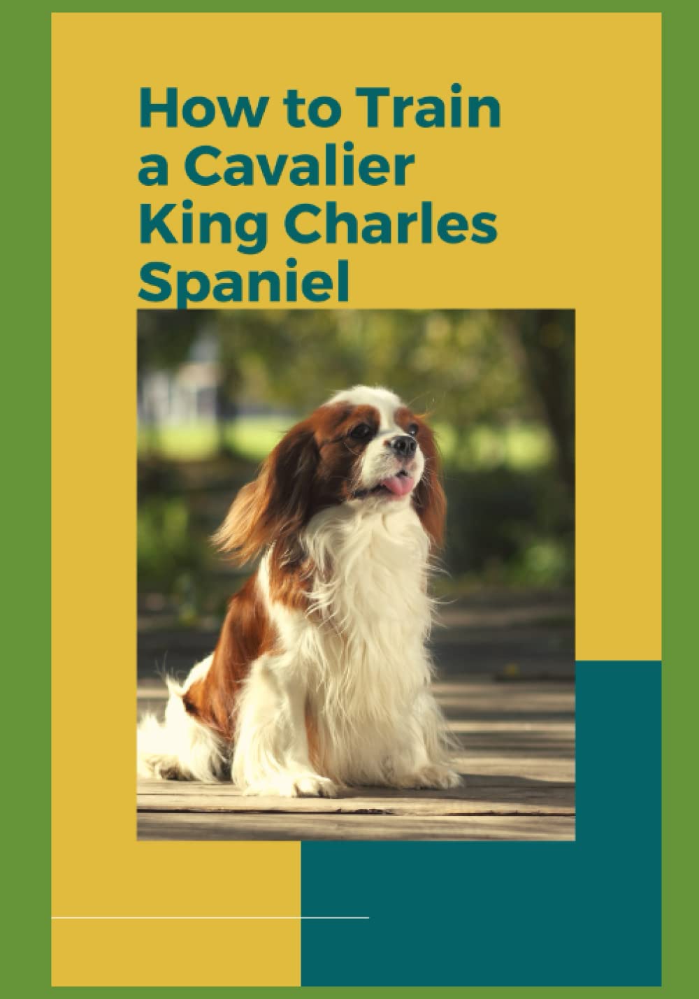 How to Train a Cavalier King Charles Spaniel