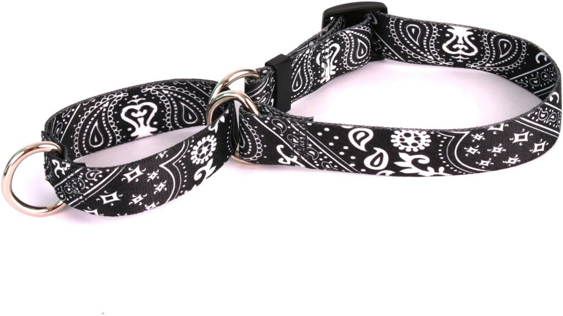 Yellow Dog Design Martingale Slip Collar, Bandana Black, Extra Small 10"