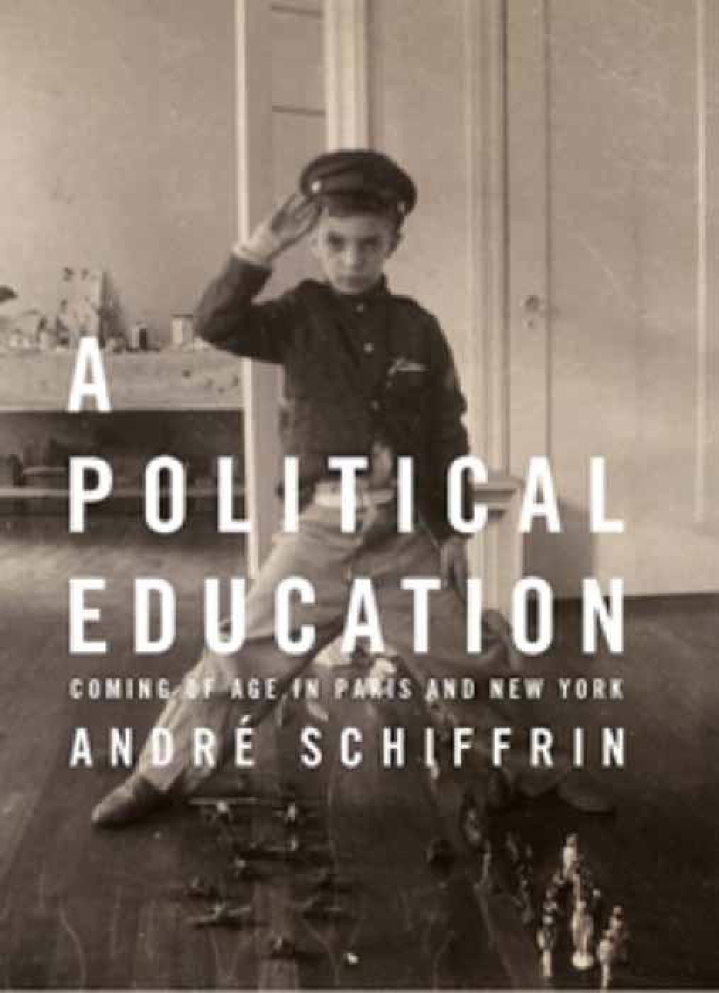 Buy A Political Education: Coming of Age in Paris and New York — BookShops.in