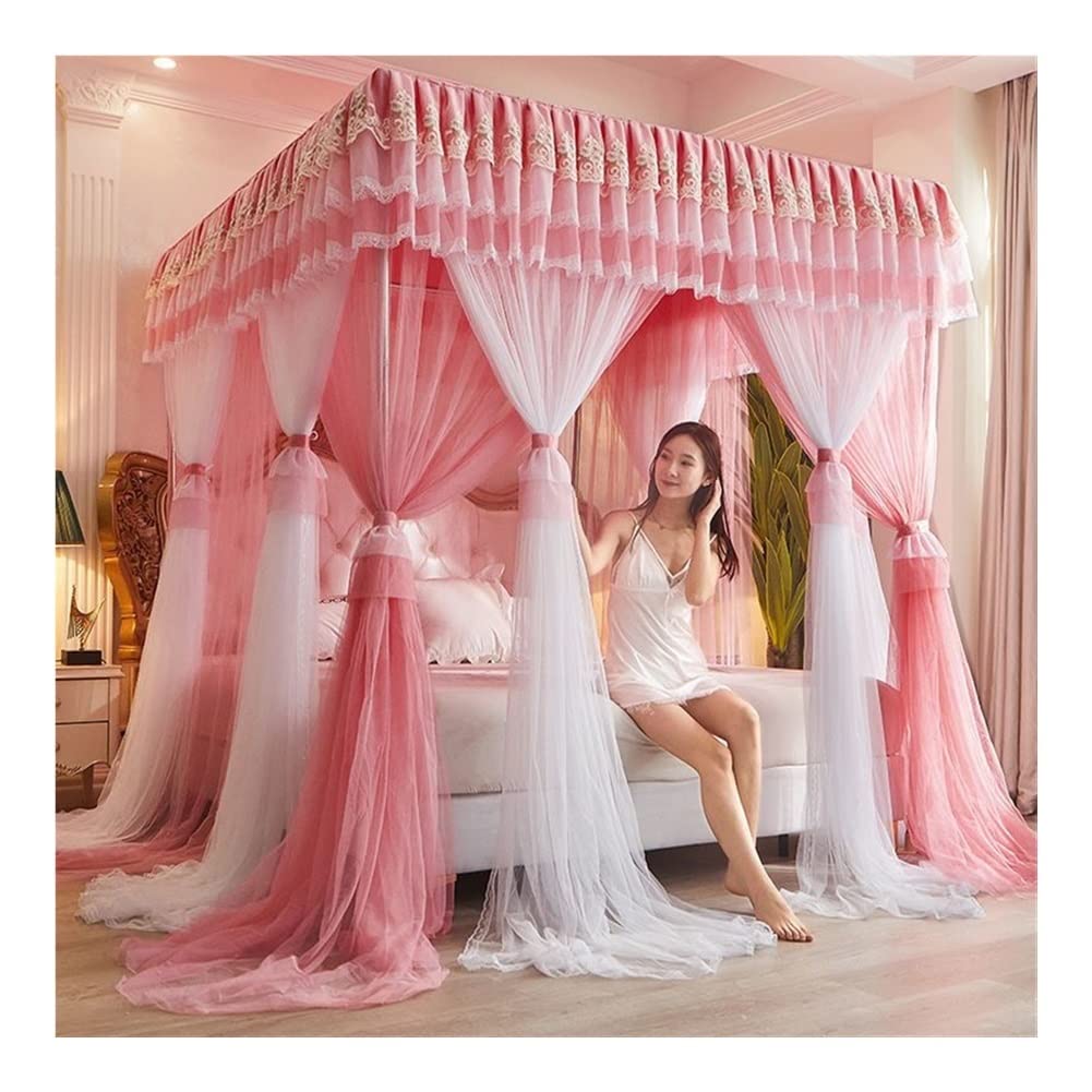 Cortina de Cama con Dosel de 4 Esquinas, Cortina de Cama con Dosel de Encaje Bordado de Princesa con Volantes, Cortina con Dosel para Cama para Adultos y Adultos, mosquitera de Malla transpa