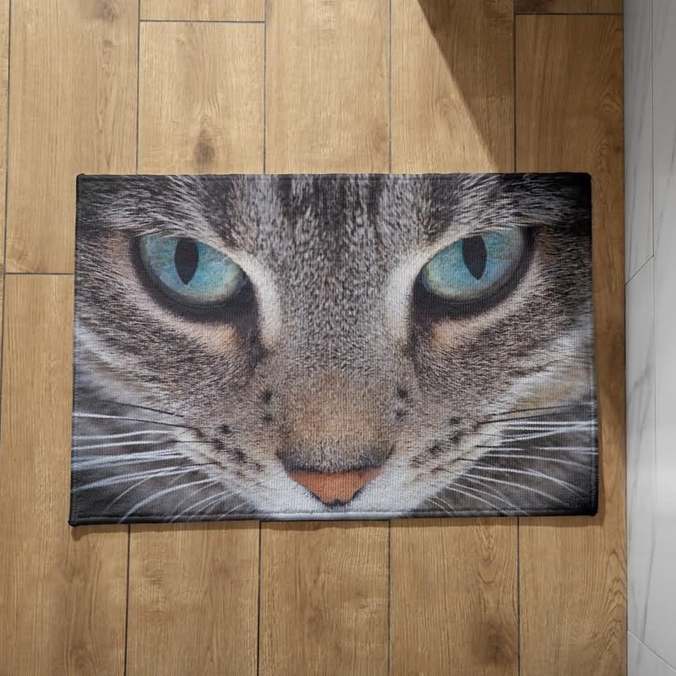 CEVAN Alfombra para la Puerta de Entrada Felpudo Exterior Entrada Casa Grande Gatos Y Perros Alfombra Interior Bañera Antideslizante Felpudo de Entrada 50x80cm