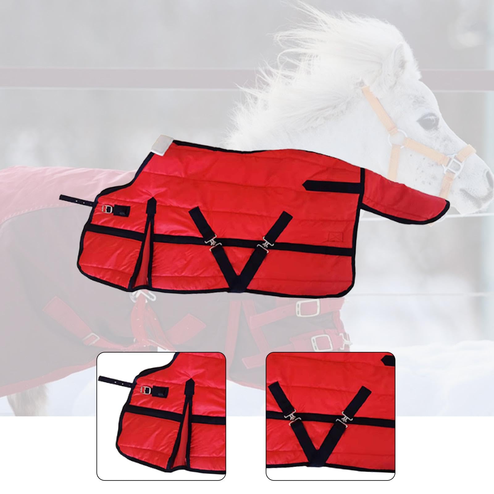 Qianly Manta para Caballo Ropa de Invierno Impermeable Transpirable Protección Térmica en Tela Oxford Adecuada para Actividades Al Aire Libre Y Entrenamiento