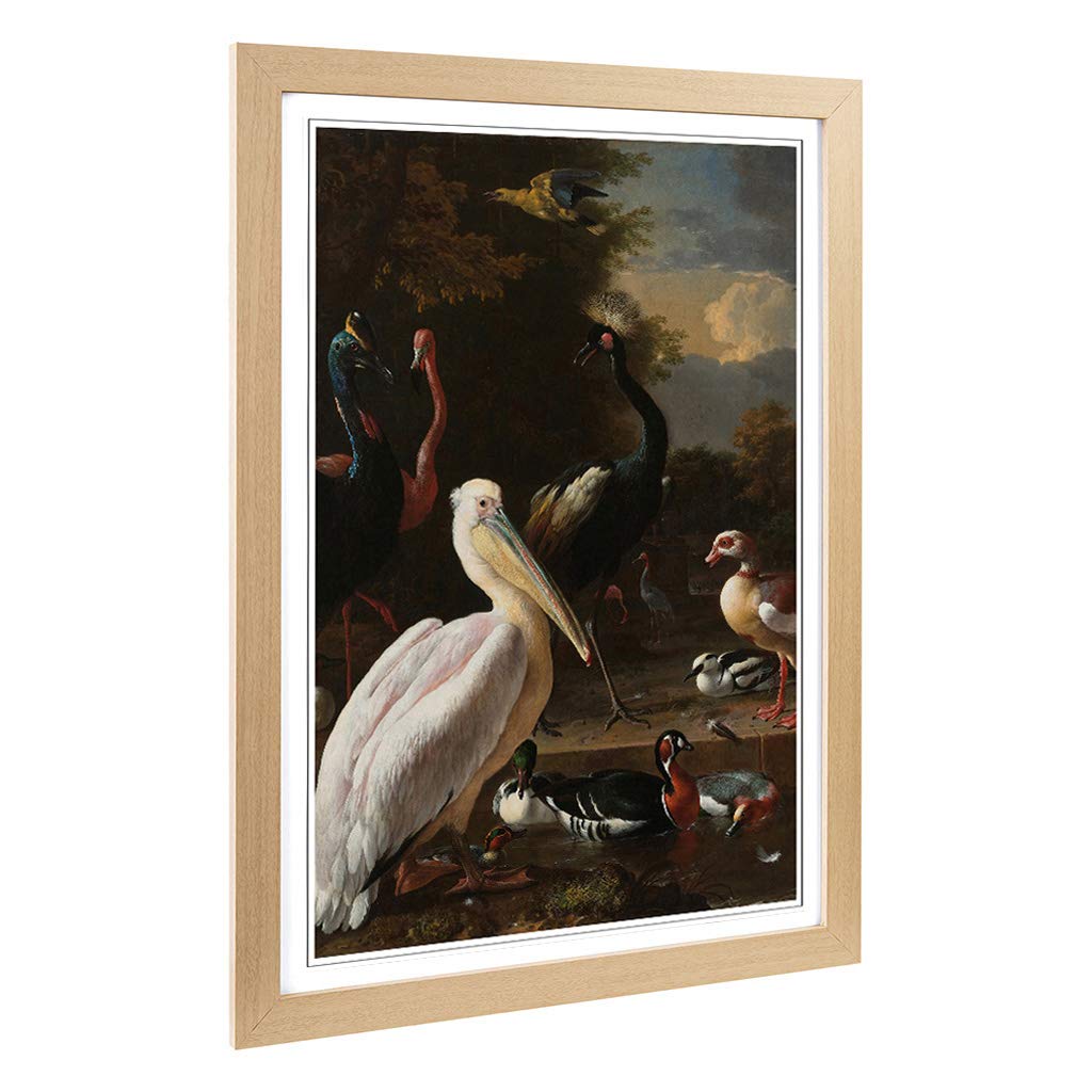 Big Box Art Framed Print of Melchior d'Hondecoeter Birds Design | Wall Art Picture | Home Decor for Kitchen, Living, Dining Room, Bedroom, Hallway, Office, Oak, A2 / 24.5x18 Inch / 62x45cm