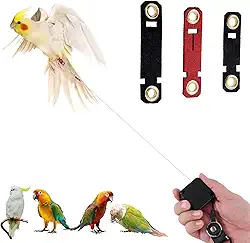Arnês retrátil para pássaros, coleira de treinamento de 2 metros com 3 tamanhos de anéis de pé - kit de coleira de periquito e papagaio para calopsitas, periquitos (preto)
