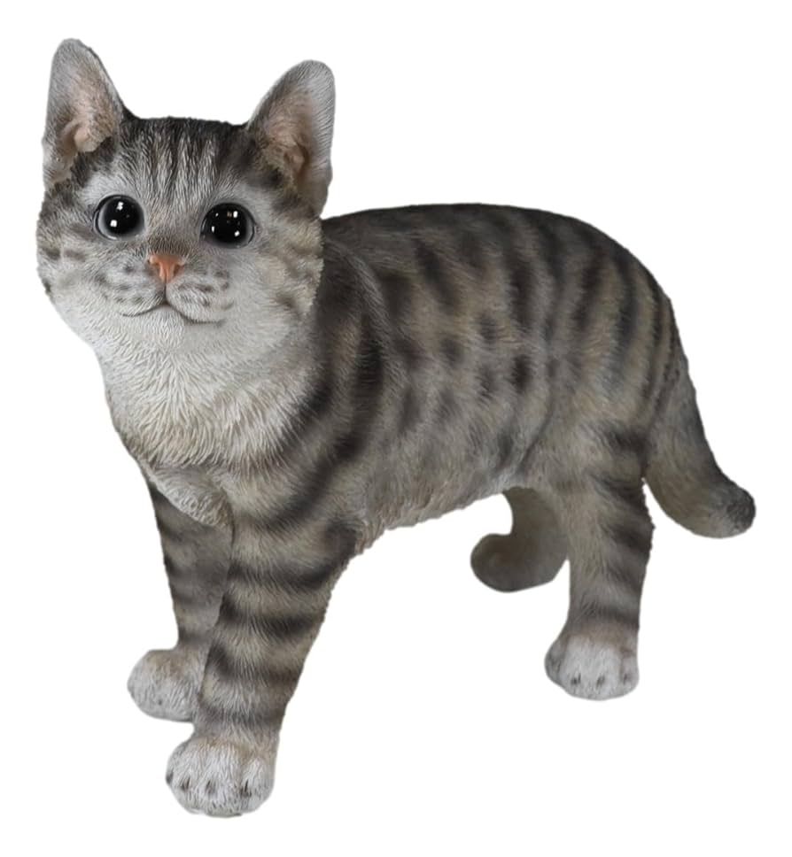 Amazon.co.jp: Ebros Gift 愛らしいネコの灰色のストライプの