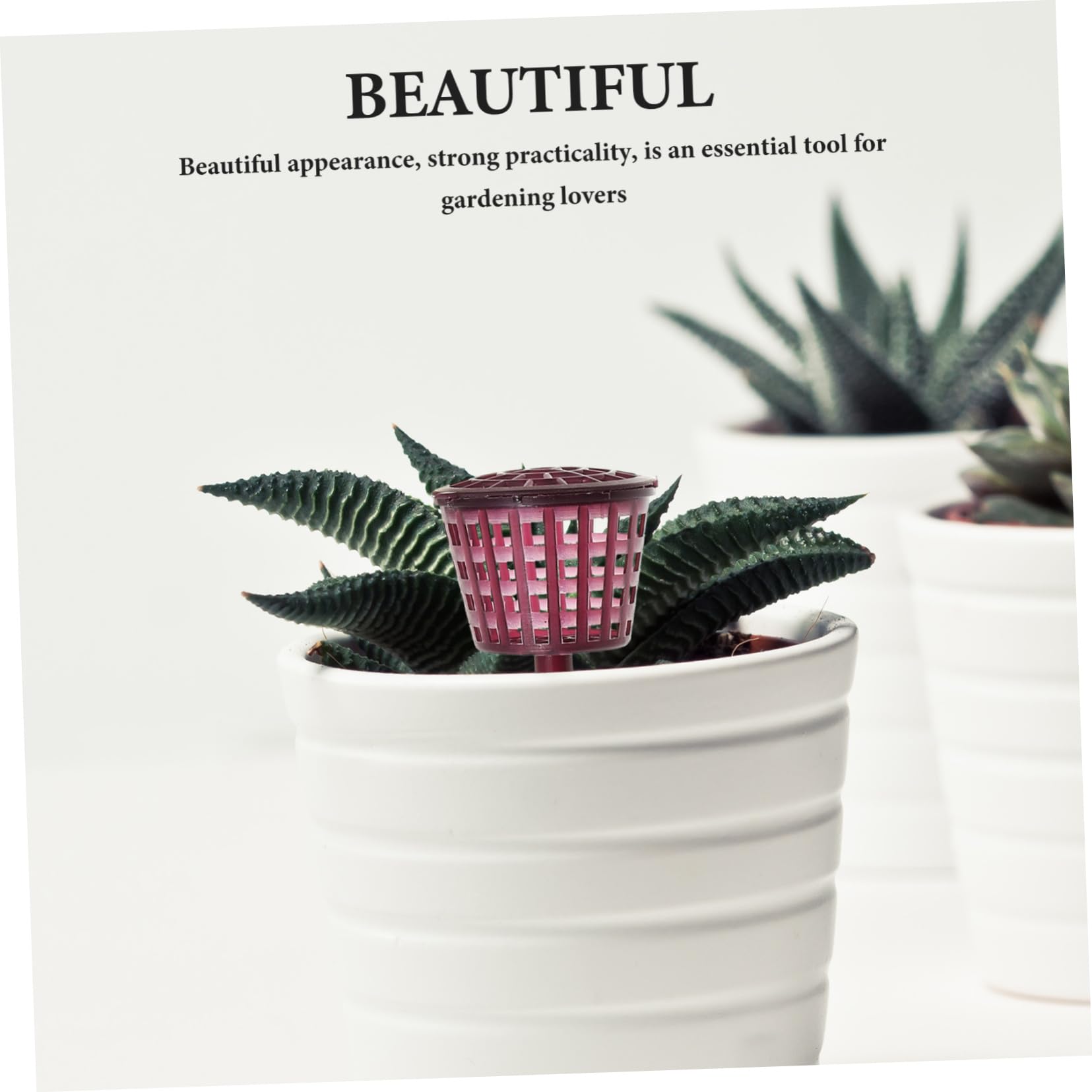 Mipcase 10 Pièces Boîte à Engrais Automatique pour Plantes de Paniers Réutilisables pour Fertilisation de Bonsai Plantes Vertes Pratique pour Jardinage