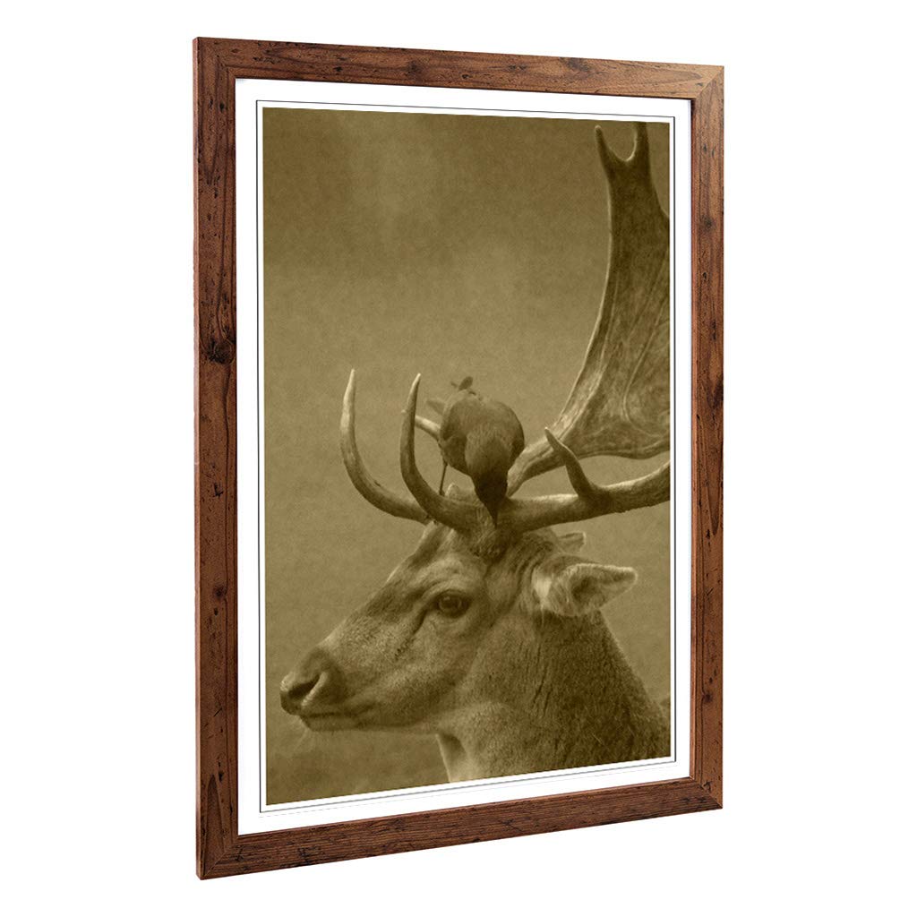 Big Box Art Framed Print of Stag and Bird Design | Wall Art Picture | Home Decor for Kitchen, Living, Dining Room, Lounge, Bedroom, Hallway, Office, Walnut, A2 / 24.5x18 Inch / 62x45cm