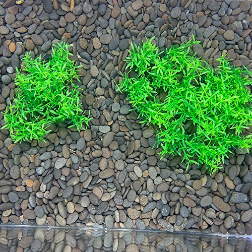 Image of Aquarium Plant Fish Tank Decoration 20 Pieces Small /1 inch Tall Plastic Artificial Plant Goldfish Hidden Mini Grass Set (Green-A)