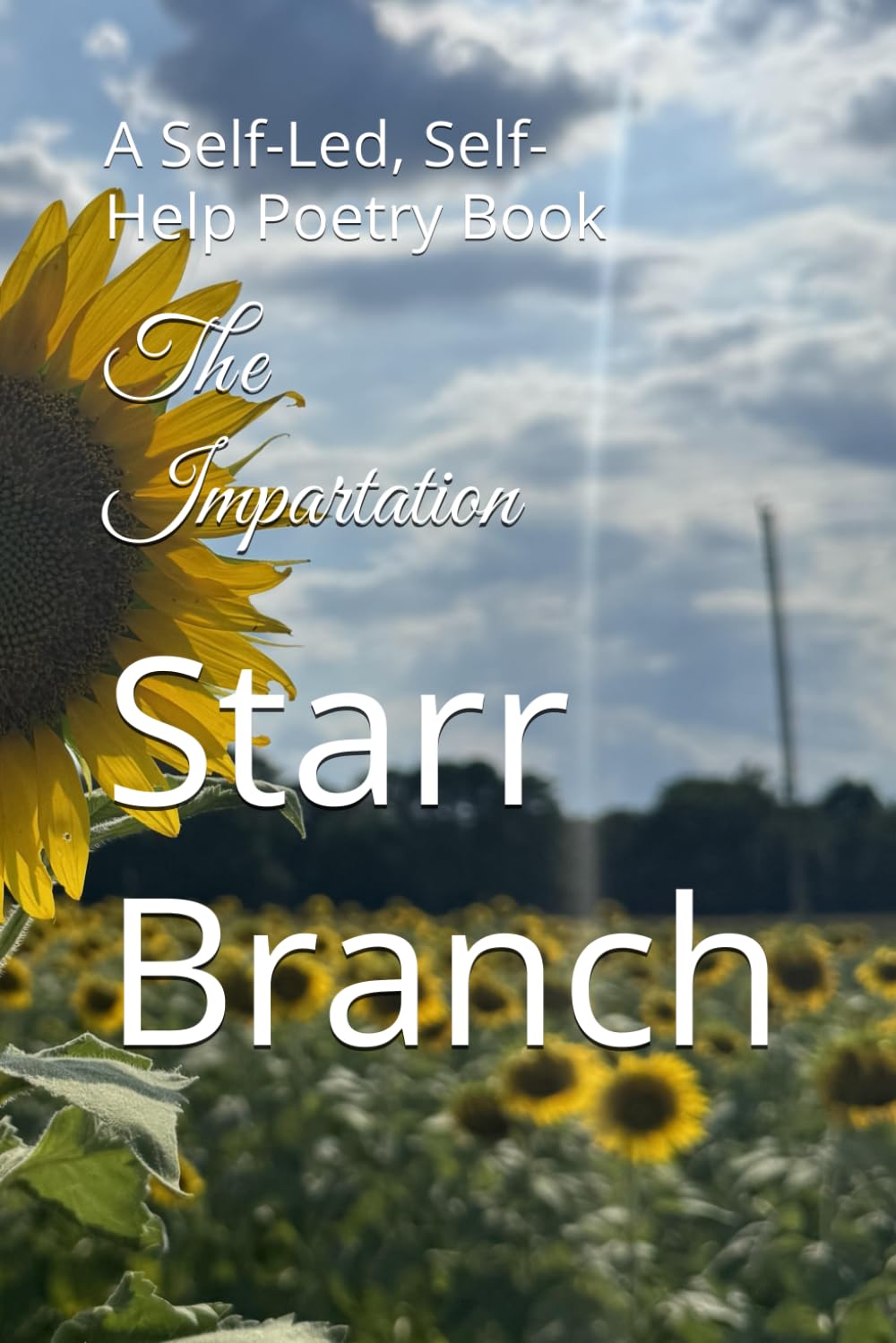 The Impartation: A Self-Led, Self-Help Poetry Book