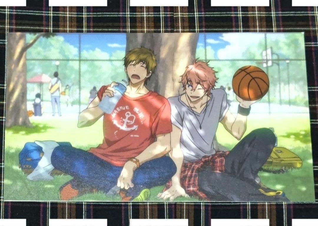Free! ラッシュガードM　橘真琴 Amazon.co.jp: 橘真琴 ラッシュガード Free×OLDCODEX×アニメイト