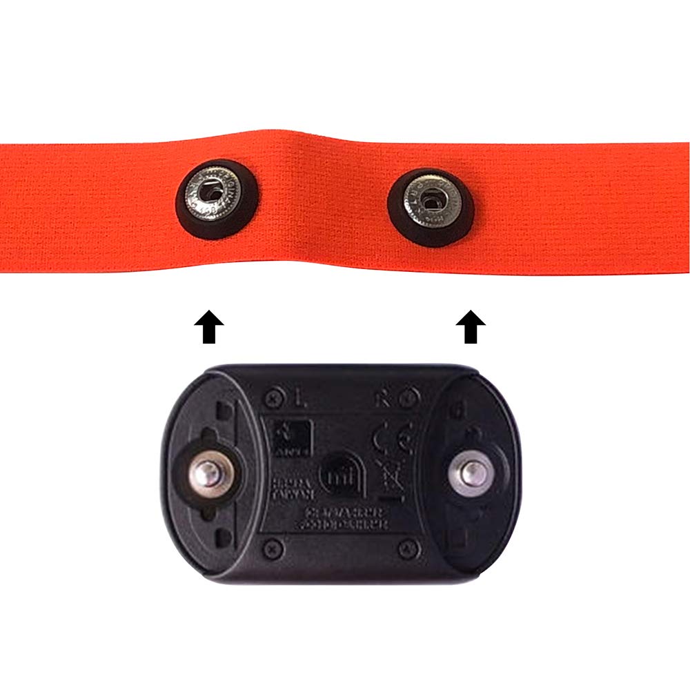 TAOPE Elastic Sport Heart Rate Monitor Adjustable Chest Mount Belt Strap Bands Fitness Equipment for Garmin Wahoo - Bright Orange - Image 4