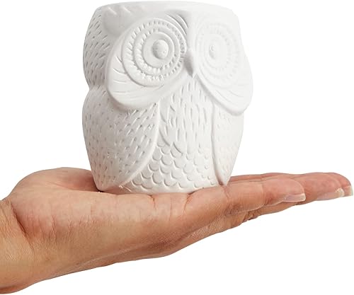 Miniatura 3 de Bright Creations Macetas de cerámica para suculentas de búho pintables, juego de 4, 3 x 3 x 4 pulgadas, cerámica blanquecina, agujeros de drenaje
