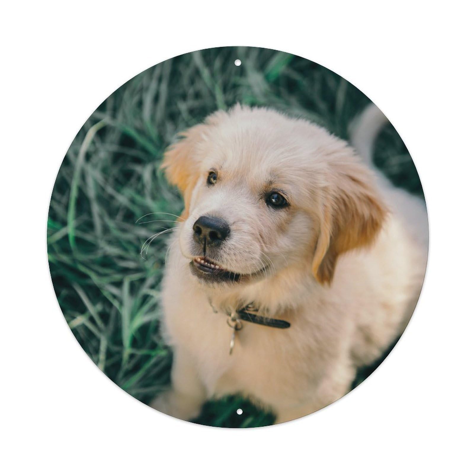 Serenity Healing Animals Poster Golden Retriever Metal Tin Sign