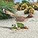 Design Toscano QM2757200 The Great Roadrunner Statue,full color