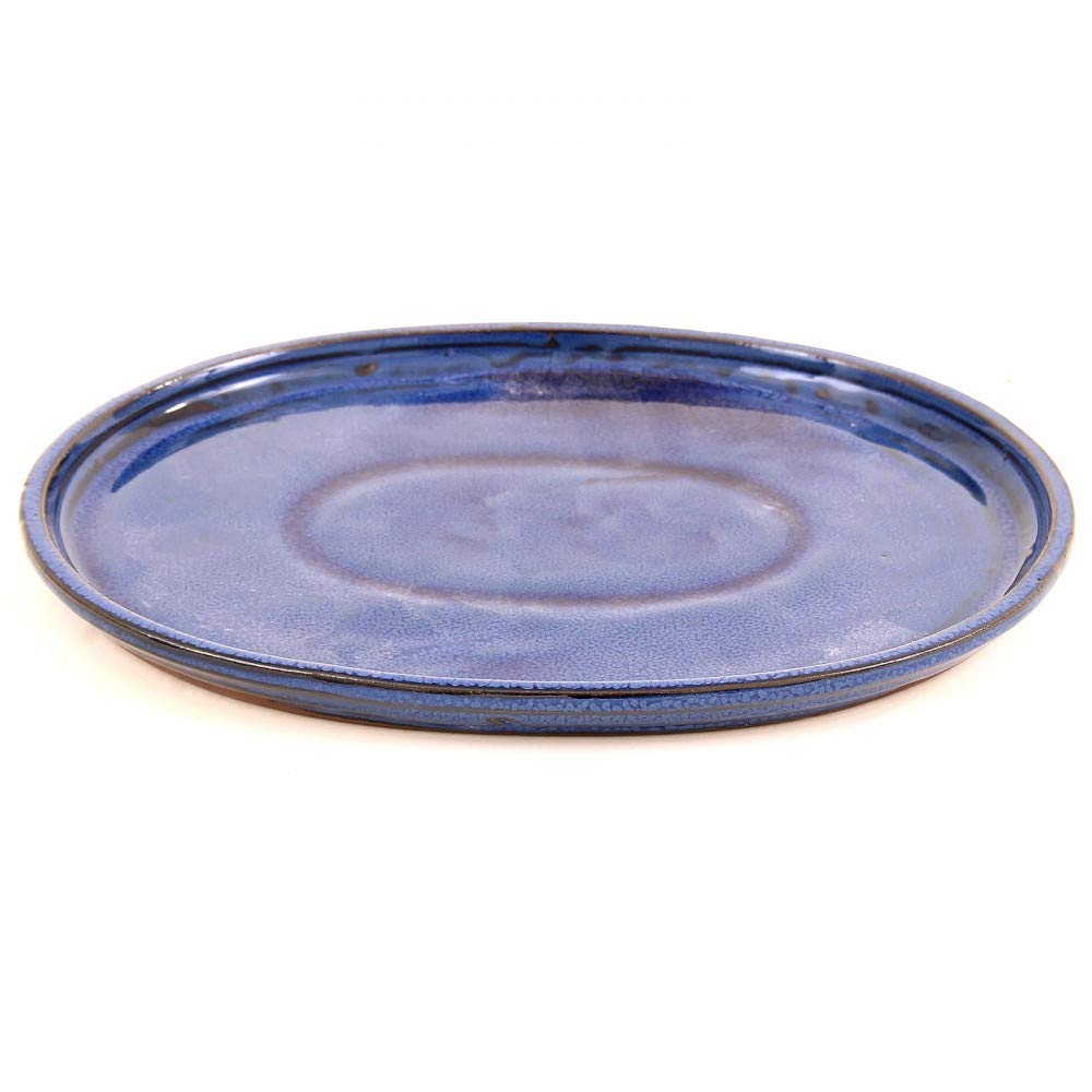 Bonsai - Untersetzer oval 26,5 x 21,5 cm, blau 54321: Amazon.de: Garten