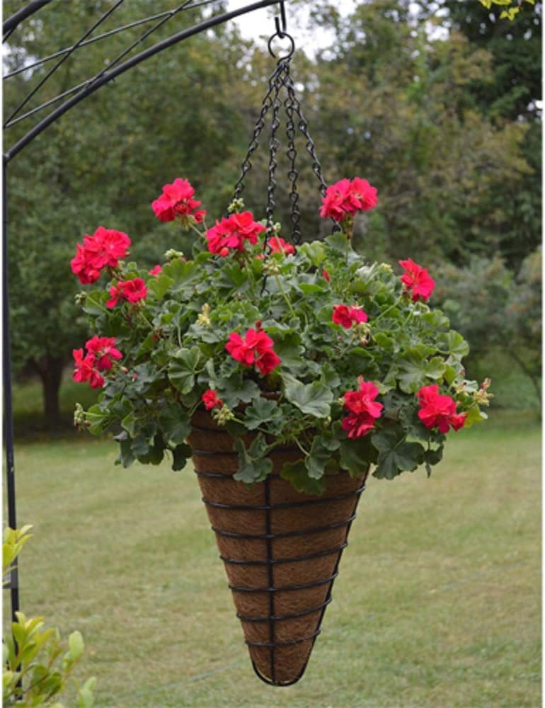 Andwing Kinsman 12 CONICAL Hanging Basket Liner (Liner Only) Set of 5