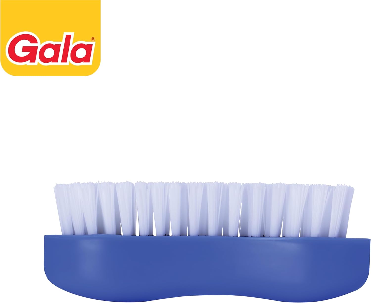 Gala 132738 Hard Brushtile Floor Scrubbing Brush(Assorted Colors,Pack of 1 )