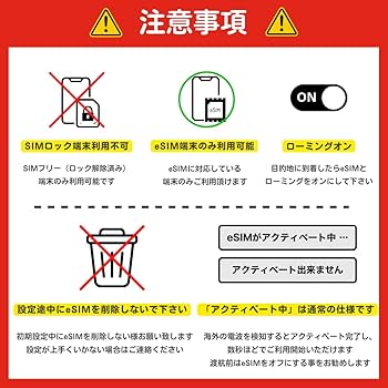 お問い合わせ専用ページ Amazon.co.jp: 【データ無制限】フィリピン セブ島 eSIM 10日間