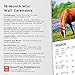 Horse Lovers | 2024 7 x 7 Inch Monthly Mini Wall Calendar | BrownTrout | Animals Equestrian