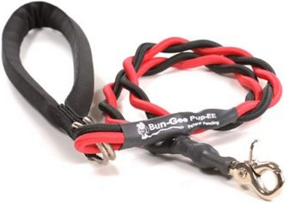 Bungee Pupee 3-Feet Medium Leash, Red/Black